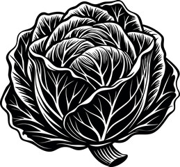 Monochrome cabbage detailed illustration showcasing the intricate layers and organic texture