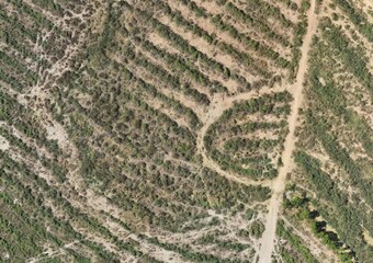 Top View Aerial Photograph