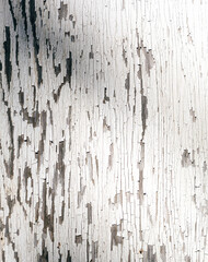 Cracked and peeling layers reveal the wood grain underneath, suggesting the passage of time. The dynamic interplay of light and shadow adds depth to the textured surface.