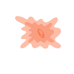 Human fibroblast cell vector illustration