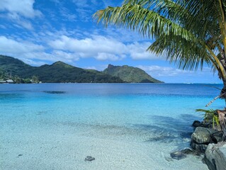 tropical paradise beach, pacific, tahiti, huahine, french polynesia, Polynésie française 