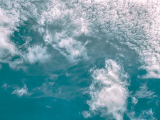 The sea meets the pine forest, where the sound of waves blends with the whispering trees, creating...