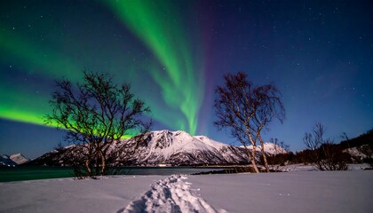 A vibrant aurora borealis display illuminates a snowy landscape, showcasing the beauty of the northern lights over a frozen lake and mountains.