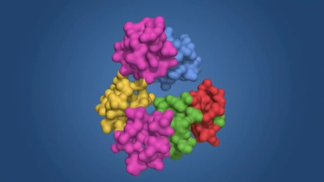 A vibrant, multi-colored molecular model of a complex biological protein structure, showcasing its intricate quaternary assembly on a deep blue digital backdrop.