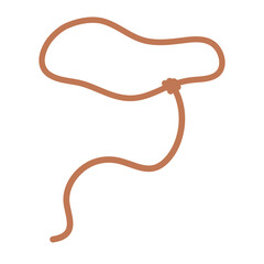 Lasso rope icon. Wild lasso icon. Vector illustration. 