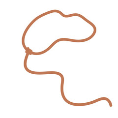 Lasso rope icon. Wild lasso icon. Vector illustration. 
