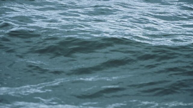 Water surface background. Lake with big waves on a windy day