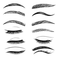 A guide showcasing various eyebrow and eyelash shapes and styles, depicted in a simple line drawing style