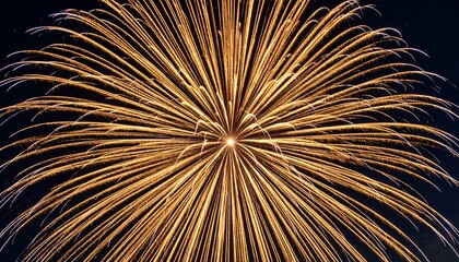 Naklejka premium Spectacular golden firework explodes in a brilliant starburst display against the dark night sky, symbolizing celebration and festivity