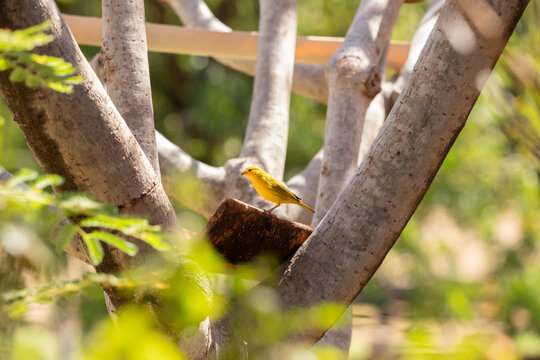 20250725-_MG_7608_Itacarambi.CR2