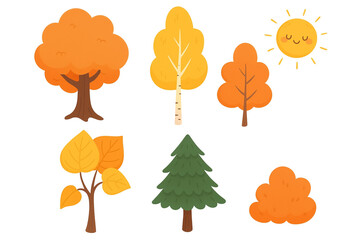 Autumn Tree Vector Set Cute Illustrations of Oak Birch Aspen Linden Fir with Sun for Seasonal and Nature Designs