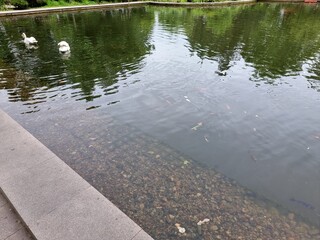 beautiful view of the pond