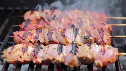grilled chicken skewers on barbecue, smoke and flames, delicious food footage for national chicken month