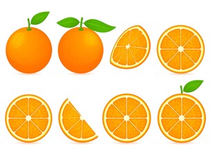 Eight illustrations of whole and segmented oranges, showing varying perspectives
