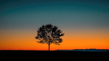 Obraz premium Solitary tree silhouetted against a vibrant sunset (1)