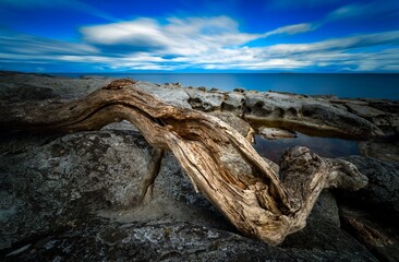 Long exposure seascape with driftwood at Newcastle Island Marine Park, BC