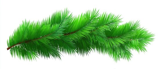 Vibrant green pine branch