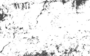 Fototapeta premium abstract art photography white background painting with black veins texture