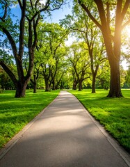 Obraz premium Park pathway lined with trees