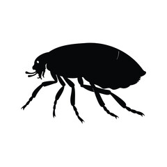 Silhouette of a flea with six legs and detailed body structure vector illustration