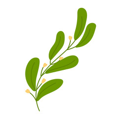 Green Branch with Yellow Buds Illustration