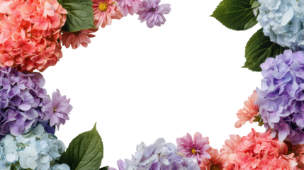 Colorful Hydrangea Floral Blossoms Natural Decoration Frame Border PNG on Transparent PNG