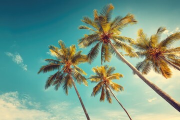 Palm trees against a vibrant blue sky