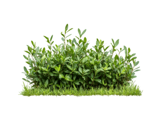 beach sand with an empty space in the middle