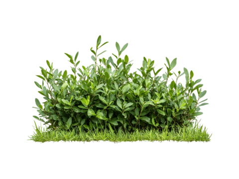 beach sand with an empty space in the middle