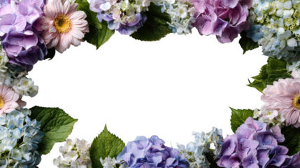 Colorful Hydrangea Floral Blossoms Natural Decoration Frame Border PNG on Transparent PNG