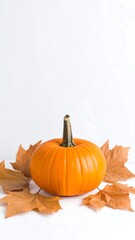 Small orange pumpkin centered, surrounded by brown autumn leaves on a white background