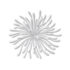 Fototapeta premium An abstract white flower