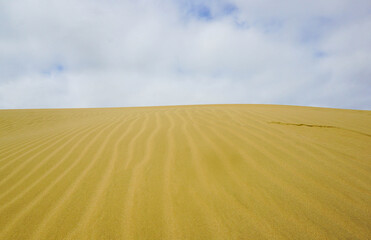 Naklejka premium The view around The Giant Sand Dunes in Cape Reinga, New Zealand.