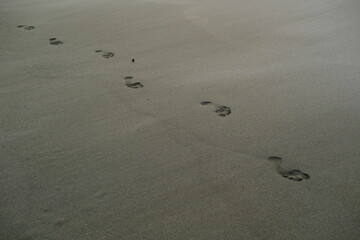 Footprints on Wet Beach Sand