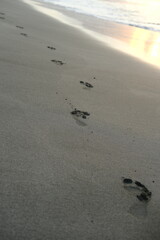 Footprints on Wet Beach Sand with Incoming Wave at Sunrise