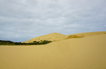 Amazing views of the Giant Sand Dunes, Cape Reinga, New Zealand.