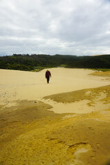 A woman walking on the Giant Sand Dunes, Cape Reinga, New Zealand.