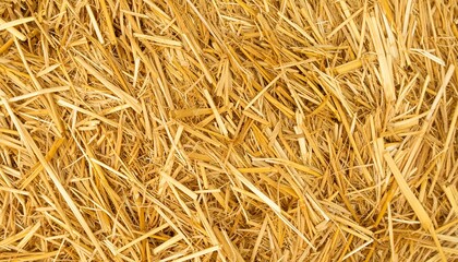 Pile of golden straw