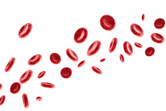 Multiple red blood cells moving through the air