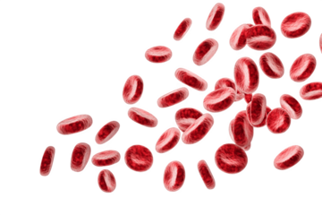 Multiple red blood cells moving through the air