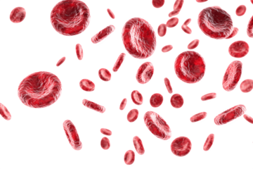 Multiple red blood cells moving through the air