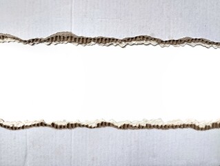 Brown ripped torn cardboard edge strips isolated on white background	