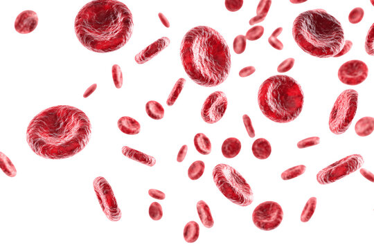 Multiple red blood cells moving through the air - Powered by Adobe