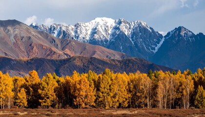 Golden autumn trees contrast sharply against the backdrop of snow-capped mountains serene alpine