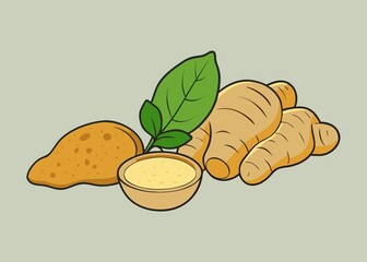 Turmeric root powder and leaf illustration for food health and wellness concepts