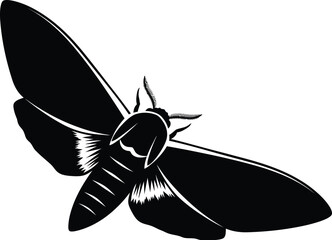 A black and illustration of a moth flying towards moon, capturing beauty of nocturnal wildlife
