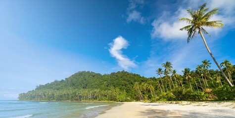 tropical beach in thailand