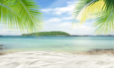 tropical beach with palm trees