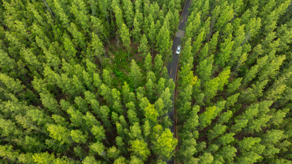 Aerial view of dark green forest road and white electric car Natural landscape and elevated roads Adventure travel and transportation and environmental protection concept	