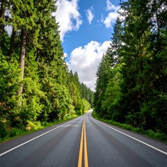 Fototapeta premium Road through lush forest